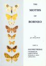 The Moths of Borneo, Part 10
