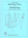 Illustrierte Flora von Mitteleuropa, Band 6, Teil 2B: Spermatophyta: Angiospermae: Dicotyledones 4 (2/2)