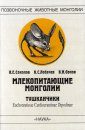 Mammals of Mongolia, Family Dipodidae: Euchoreutinae, Cardiocraniinae, Dipodinae [Russian]
