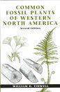 Common Fossil Plants of Western North America