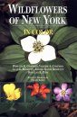 Wildflowers of New York in Color
