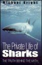 The Private Life of Sharks