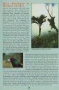 A Guide to Geology, Climate and Habitats [of Dominica]