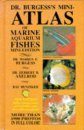 Dr Burgess's Mini-Atlas of Marine Aquarium Fishes