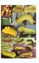 Heterocera Sumatrana, Volume 10 (Green Book): The Saturniidae of Sumatra (Lepidoptera)
