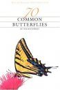 70 Common Butterflies of the Southwest