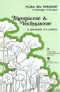 Flora del Paraguay, Volume 2: Trigoniaceae & Vochysiaceae