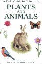 A Field Guide in Colour to Plants and Animals