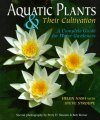 Aquatic Plants and their Cultivation