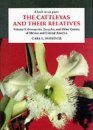 The Cattleyas and Their Relatives, Volume 5: Brassavola, Encyclia, and Other Genera of México and Central America