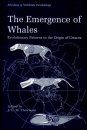 The Emergence of Whales
