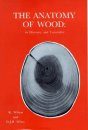 The Anatomy of Wood