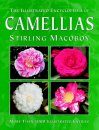 The Illustrated Encyclopedia of Camellias