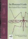 An Illustrated Guide to some New Zealand Insect Families