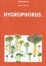 Fungi Europaei, Volume 6: Hygrophorus s.l. [Italian]