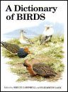 A Dictionary of Birds