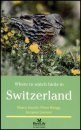 Where to Watch Birds in Switzerland