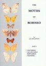 The Moths of Borneo, Part 8