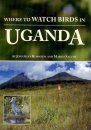 Where to Watch Birds in Uganda
