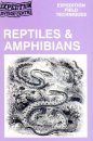 Reptiles and Amphibians - Expedition Field Techniques