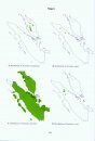 Nepenthes of Sumatra and Peninsular Malaysia