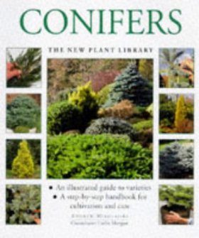 Conifers New Plant Library