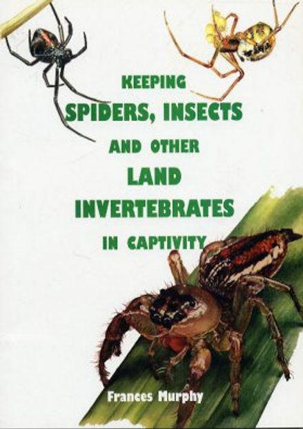 Keeping Spiders, Insects and Other Land Invertebrates in Captivity | NHBS  Academic & Professional Books