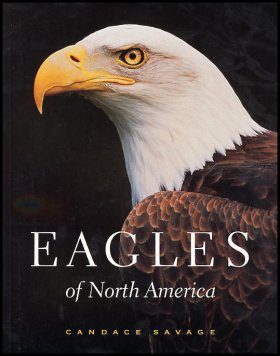 Eagles Of North America Candace Savage Nhbs Book Shop