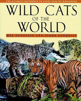 Wild Cats Of The World The Ultimate Reference To Every Species Worldwide Nhbs Academic Professional Books