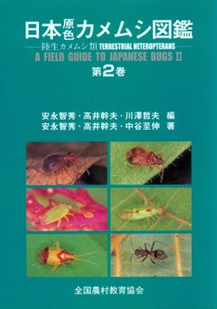 Terrestrial Heteropterans A Field Guide To Japanese Bugs Volume 2 Japanese Nhbs Academic Professional Books