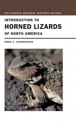 Introduction To Horned Lizards Of North America Wade C