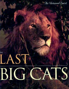 Last Big Cats An Untamed Spirit Edwin Bauer And Peggy