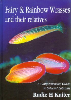 Fairy & Rainbow Wrasses and Their Relatives: A Comprehensive Guide 
