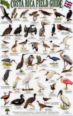 Costa Rica Field Guide: Birds of the Pacific Coast and the Tropical Dry