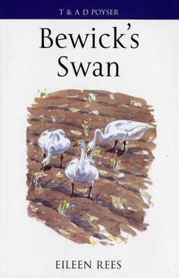 Bewick S Swan Eileen Rees Nhbs Book Shop