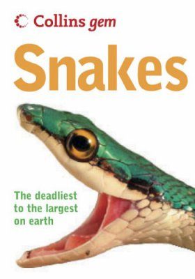 Collins Gem Guide Snakes Chris Mattison Nhbs Book Shop