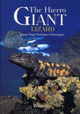 The Hierro Giant Lizard Miguel 193 Ngel Rodr 237 Gruez Dom 237 Nguez