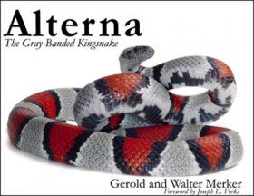 Alterna The Gray Banded Kingsnake Gerold Merker And