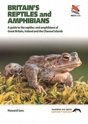 British reptiles and hot sale amphibians