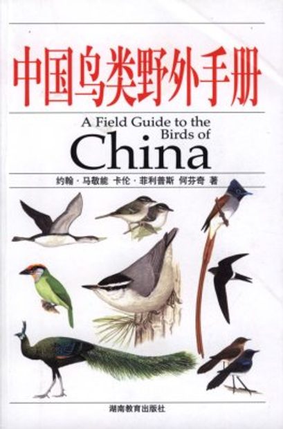 Lot 683 - A PAIR OF CHINESE PAINTINGS OF BIRDS