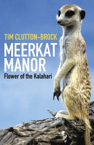 meerkat manor flower dies