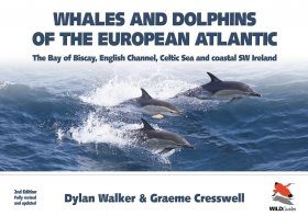 Whales And Dolphins Of The European Atlantic Dylan Walker