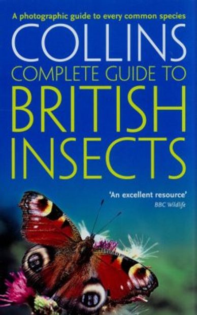 A Comprehensive Guide to Insects of Britain and Ireland