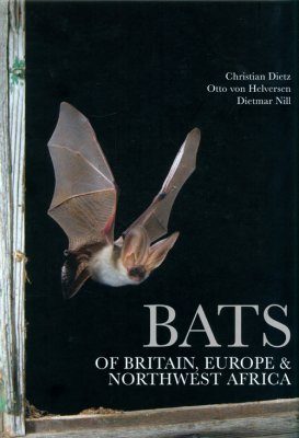 Bats Of Britain Europe And Northwest Africa Christian