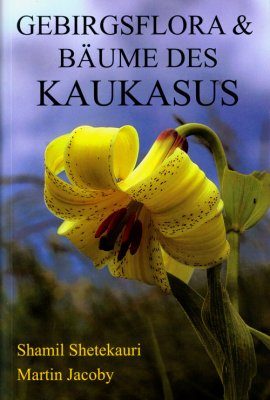caucasia book