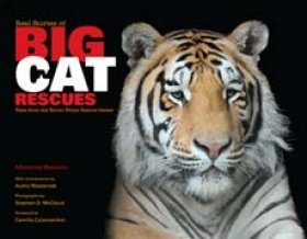 Big cat deals rescue center