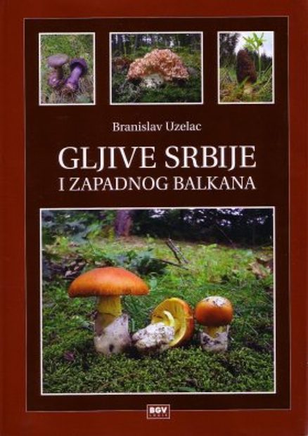 Gljive Srbije I Zapadnog Balkana Fungi Of Serbia And The Western Balkans Nhbs Academic Professional Books