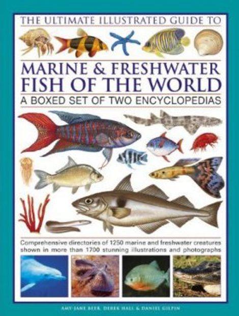 Visual Guide of 1400 Fish Species with Photo Reference [Japanese]