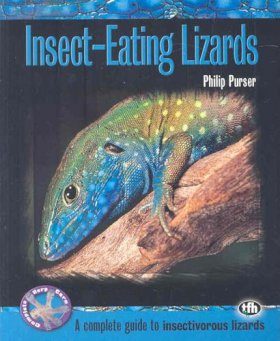 Insect Eating Lizards A Complete Guide To Insectivorous