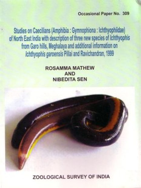 Studies on Caecilians (Amphibia: Gymnophiona: Ichthyophiidae) of